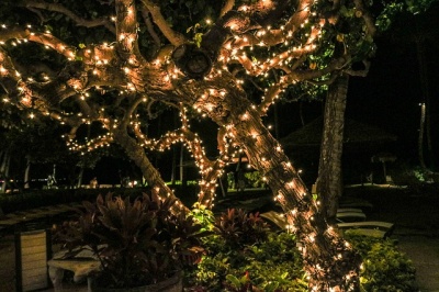 landscape_lights_home_buyers_like