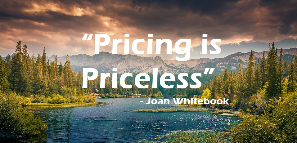 pricing_is_priceless_957