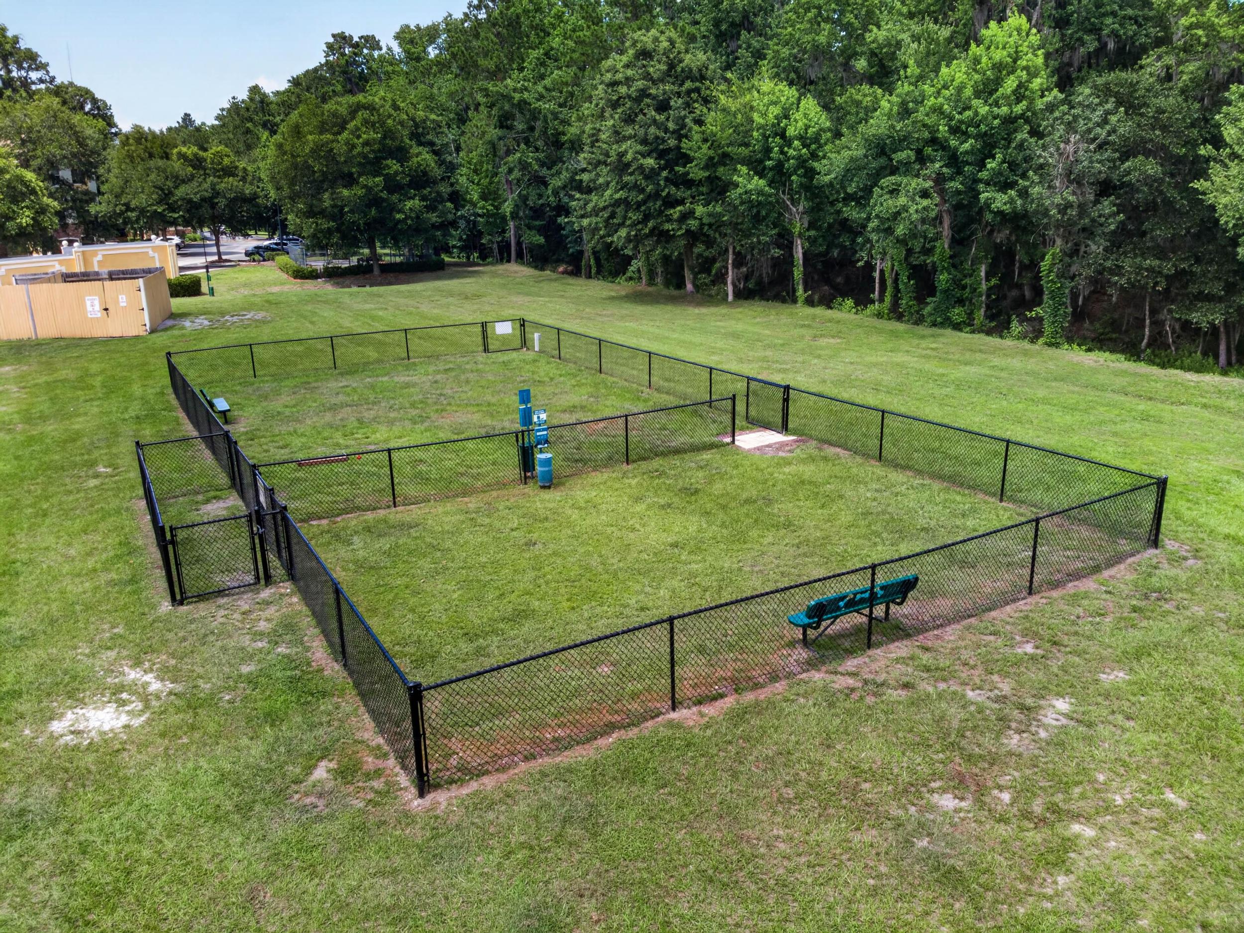 Dog Park Villa Medici
